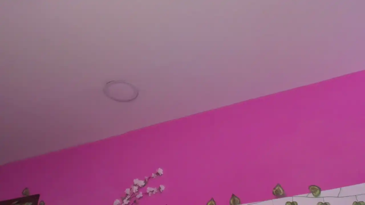 Jannelowry – Xlovecam Live Cam Video – 2026-06-05 02:47:19