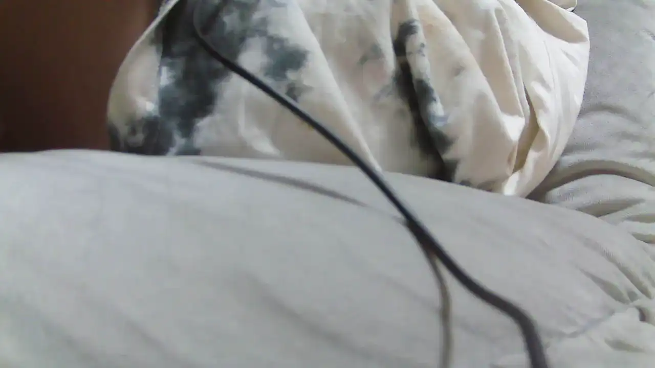 Ruru2022 – Sakuralive Live Cam Video – 2025-04-18 20:05:15