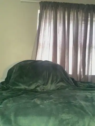 Curvydesire1 – Stripchat Live Cam Video – 2026-05-03 12:09:40