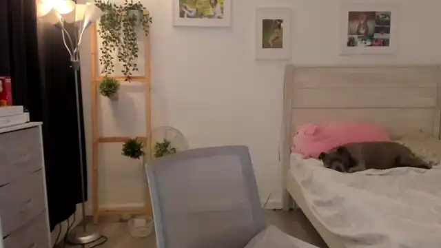 Bunni_ – Myfreecams Live Cam Video – 2025-10-28 01:34:31