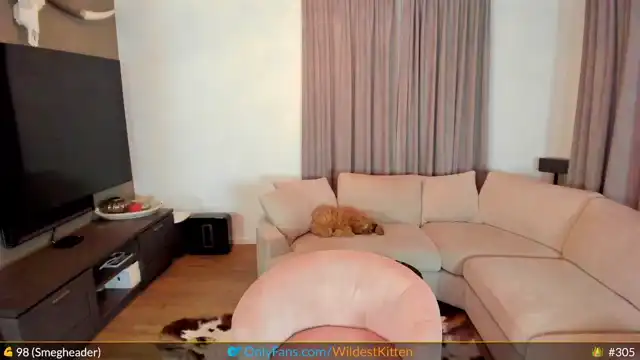 Wildestkitten – Myfreecams Live Cam Video – 2025-11-11 15:30:31